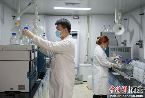 廊坊市積極引進京津創新資源，賦能生物醫藥研發產業高質量發展