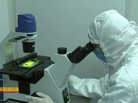 十年磨一劍 安科生物以超10%營收重注研發，鑄就生物醫藥創新引擎