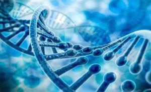 銳翌生物獲近億元A輪融資，魯信創(chuàng)投領(lǐng)投加速生物研發(fā)新突破
